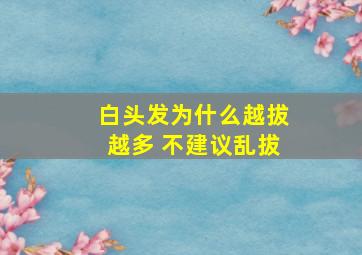 白头发为什么越拔越多 不建议乱拔